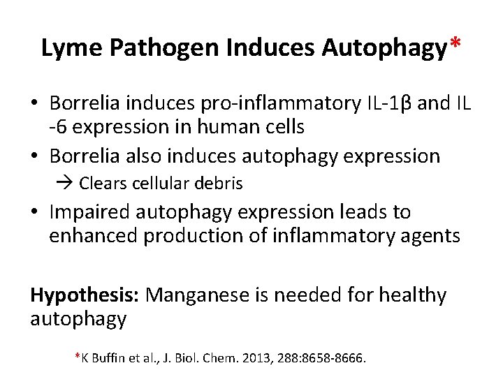 Lyme Pathogen Induces Autophagy* • Borrelia induces pro-inflammatory IL-1β and IL -6 expression in