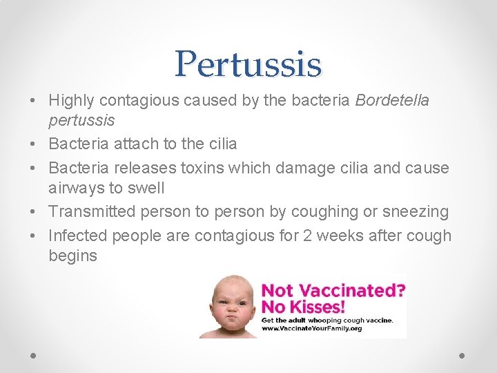 Pertussis • Highly contagious caused by the bacteria Bordetella pertussis • Bacteria attach to
