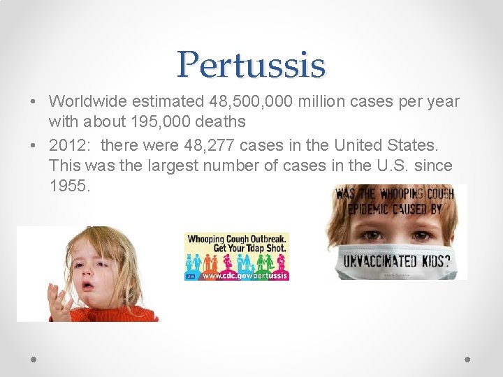 Pertussis • Worldwide estimated 48, 500, 000 million cases per year with about 195,