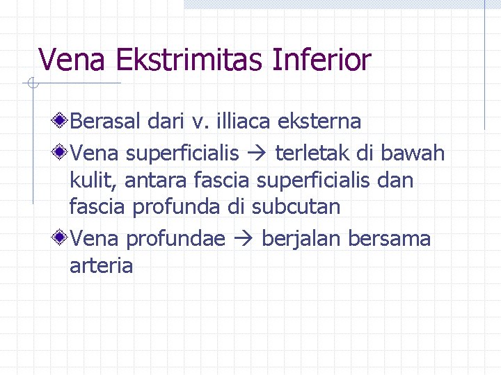Vena Ekstrimitas Inferior Berasal dari v. illiaca eksterna Vena superficialis terletak di bawah kulit,
