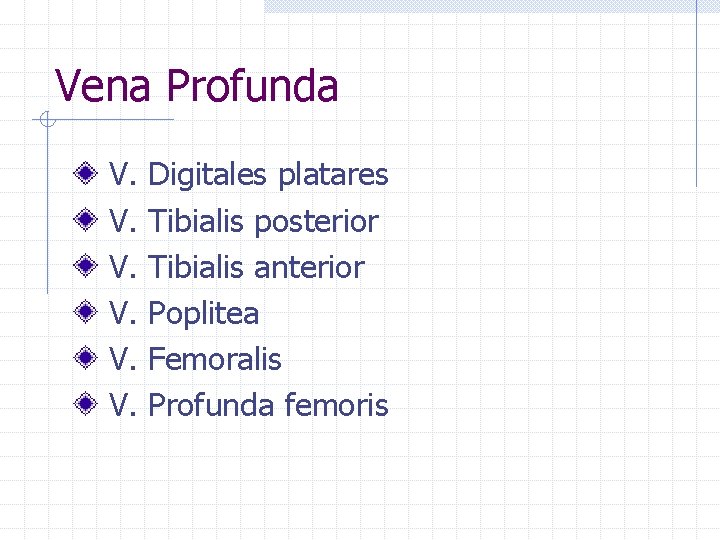 Vena Profunda V. V. V. Digitales platares Tibialis posterior Tibialis anterior Poplitea Femoralis Profunda