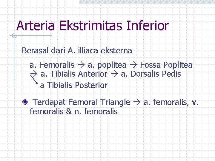 Arteria Ekstrimitas Inferior Berasal dari A. illiaca eksterna a. Femoralis a. poplitea Fossa Poplitea