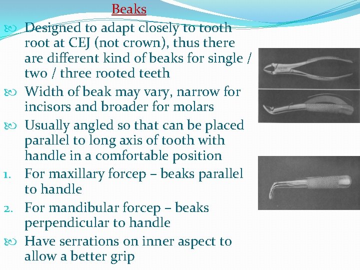  1. 2. Beaks Designed to adapt closely to tooth root at CEJ (not