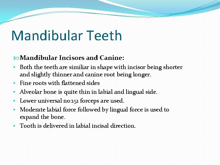 Mandibular Teeth Mandibular Incisors and Canine: • Both the teeth are similiar in shape