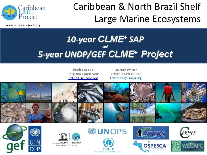 Caribbean & North Brazil Shelf Large Marine Ecosystems 10 -year CLME+ SAP and 5