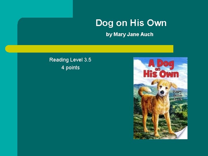Dog on His Own by Mary Jane Auch Reading Level 3. 5 4 points
