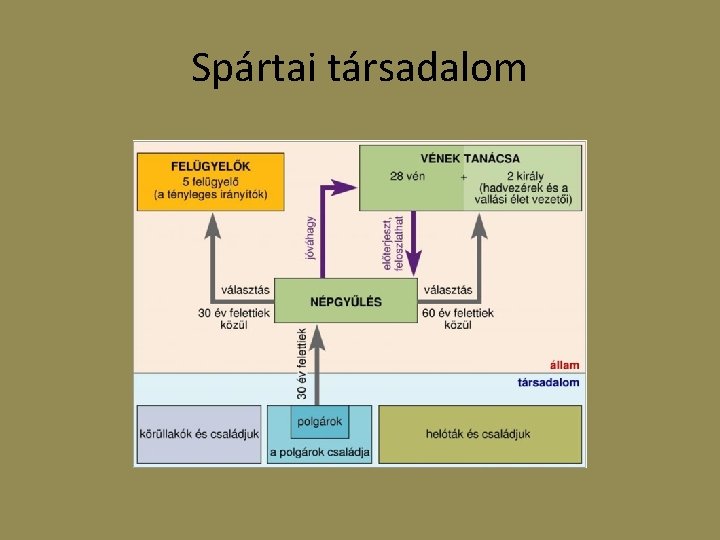 Spártai társadalom 