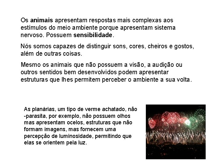 Os animais apresentam respostas mais complexas aos estímulos do meio ambiente porque apresentam sistema