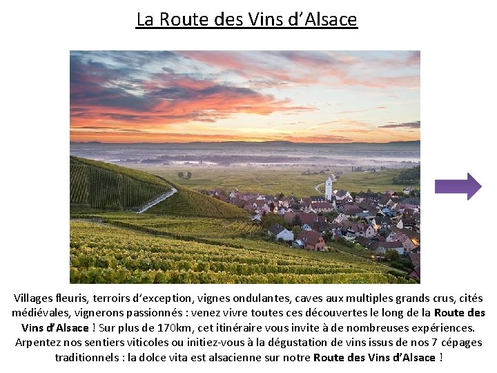 La Route des Vins d’Alsace Villages fleuris, terroirs d’exception, vignes ondulantes, caves aux multiples