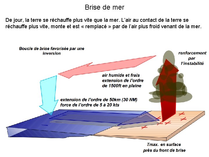 Brise de mer De jour, la terre se réchauffe plus vite que la mer.