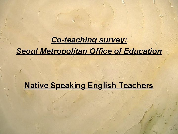 Co-teaching survey: Seoul Metropolitan Office of Education Native Speaking English Teachers Co-teaching survey: Seoul Metropolitan Office of Education Native Speaking English Teachers