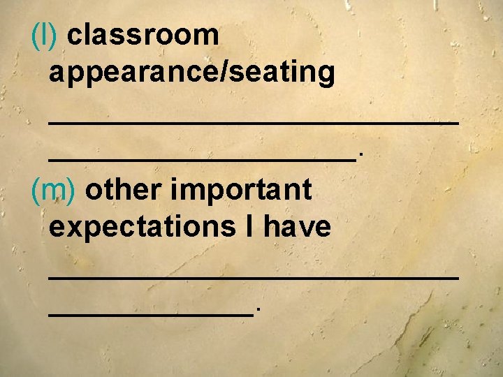 (l) classroom appearance/seating ____________. (m) other important expectations I have ____________. (l) classroom appearance/seating ____________. (m) other important expectations I have ____________.