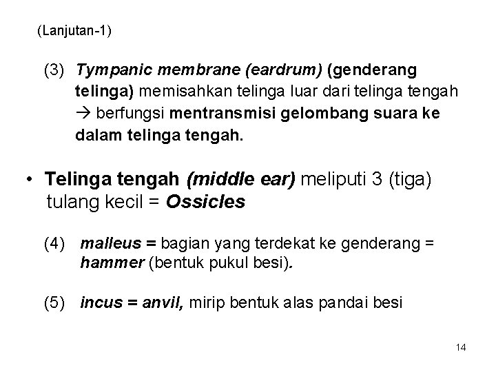 (Lanjutan-1) (3) Tympanic membrane (eardrum) (genderang telinga) memisahkan telinga luar dari telinga tengah berfungsi