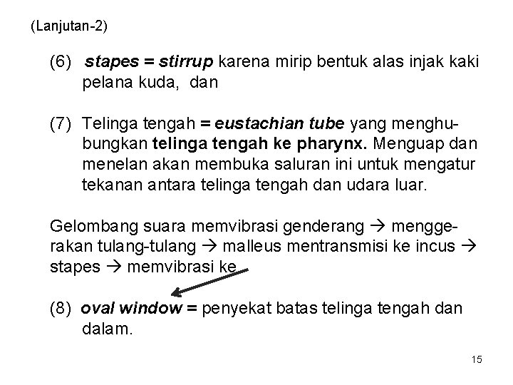 (Lanjutan-2) (6) stapes = stirrup karena mirip bentuk alas injak kaki pelana kuda, dan