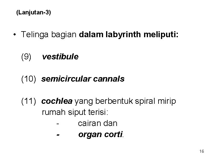 (Lanjutan-3) • Telinga bagian dalam labyrinth meliputi: (9) vestibule (10) semicircular cannals (11) cochlea