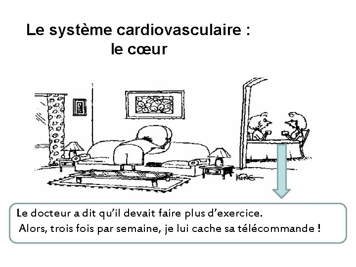 Le système cardiovasculaire : le cœur Le docteur a dit qu’il devait faire plus Le système cardiovasculaire : le cœur Le docteur a dit qu’il devait faire plus