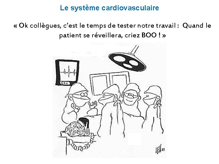 Le système cardiovasculaire « Ok collègues, c’est le temps de tester notre travail : Le système cardiovasculaire « Ok collègues, c’est le temps de tester notre travail :