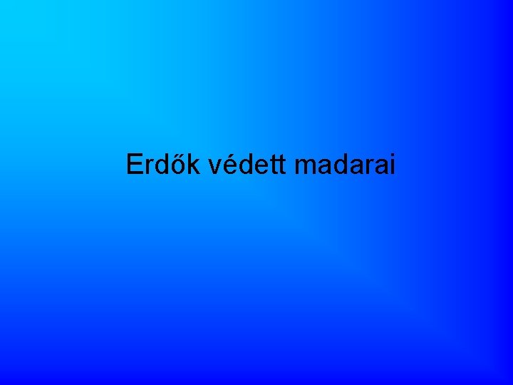 Erdők védett madarai 