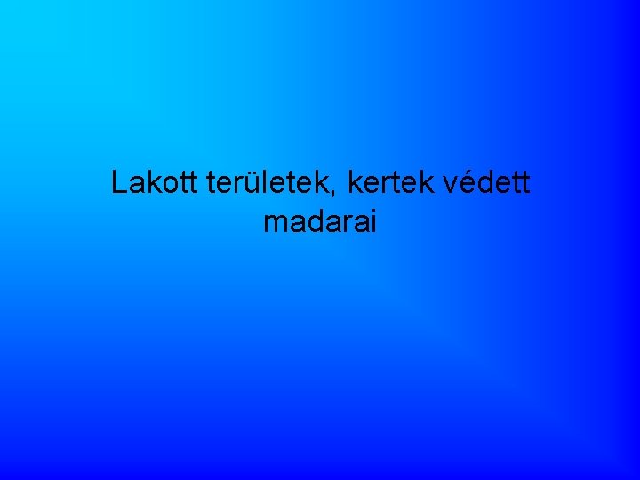 Lakott területek, kertek védett madarai 