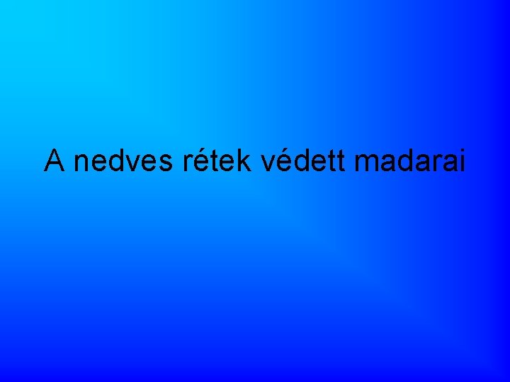 A nedves rétek védett madarai 