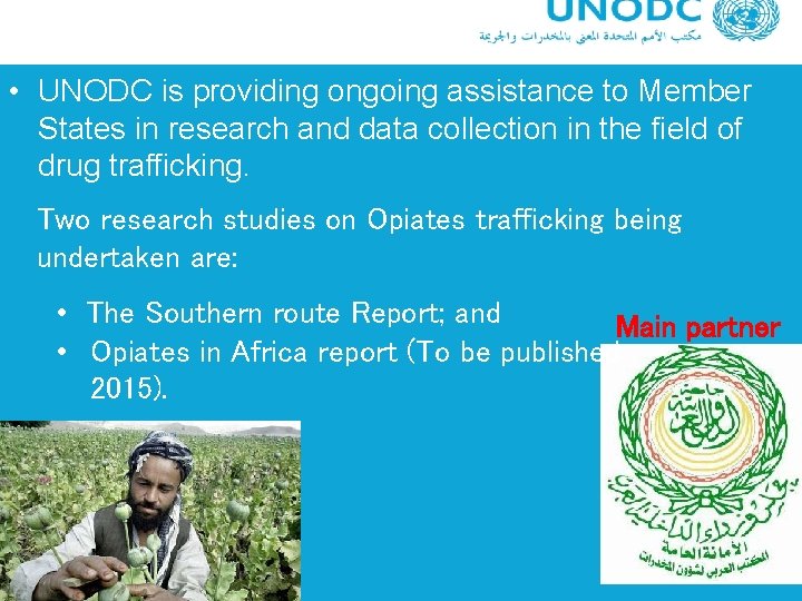  • UNODC is providing ongoing assistance to Member States in research and data