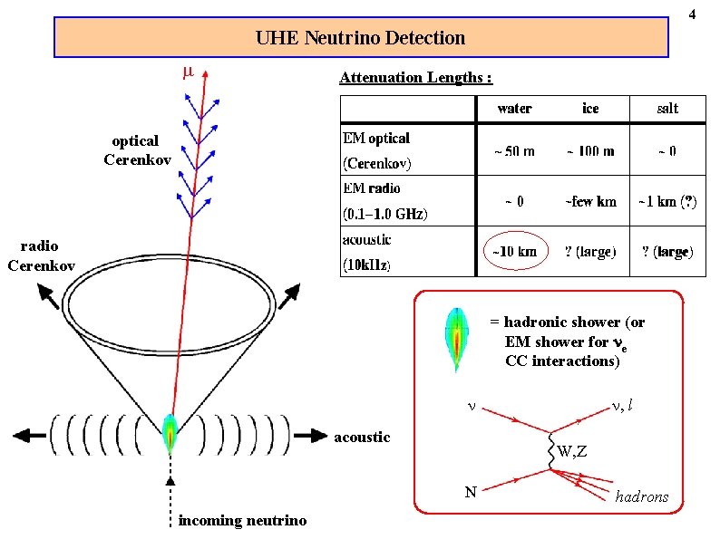 4 UHE Neutrino Detection m Attenuation Lengths : optical Cerenkov radio Cerenkov = hadronic