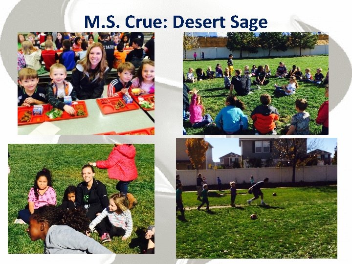 M. S. Crue: Desert Sage 