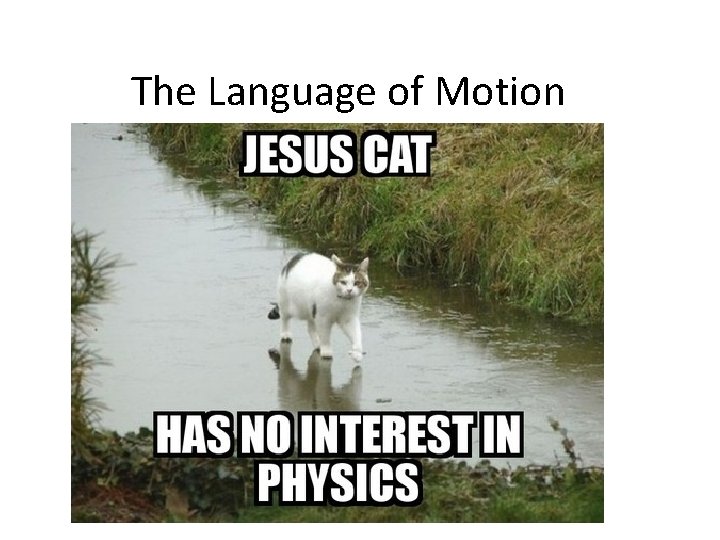 The Language of Motion 