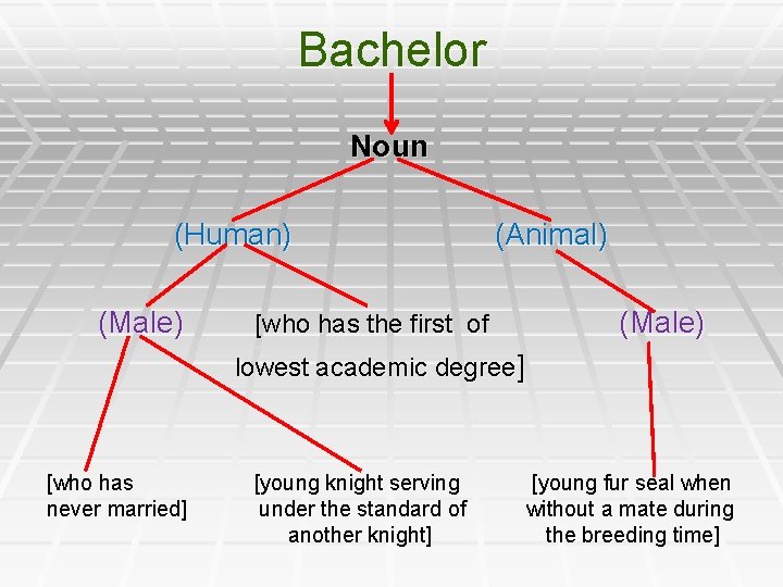 Bachelor Noun (Human) (Animal) (Male) [who has the first of (Male) lowest academic degree]