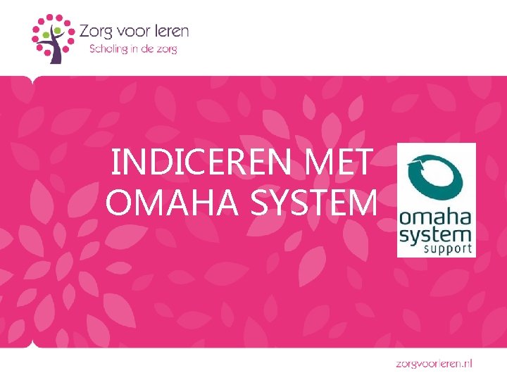 INDICEREN MET OMAHA SYSTEM 