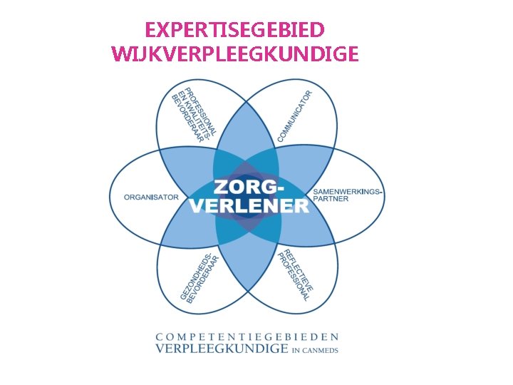 EXPERTISEGEBIED WIJKVERPLEEGKUNDIGE 