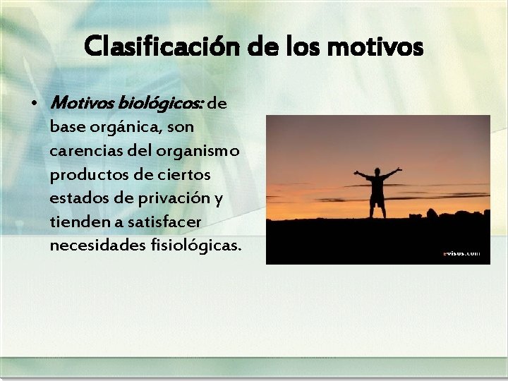Clasificación de los motivos • Motivos biológicos: de base orgánica, son carencias del organismo