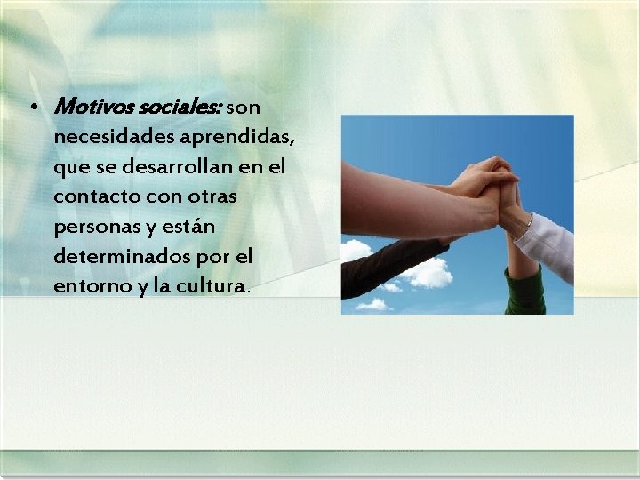  • Motivos sociales: son necesidades aprendidas, que se desarrollan en el contacto con