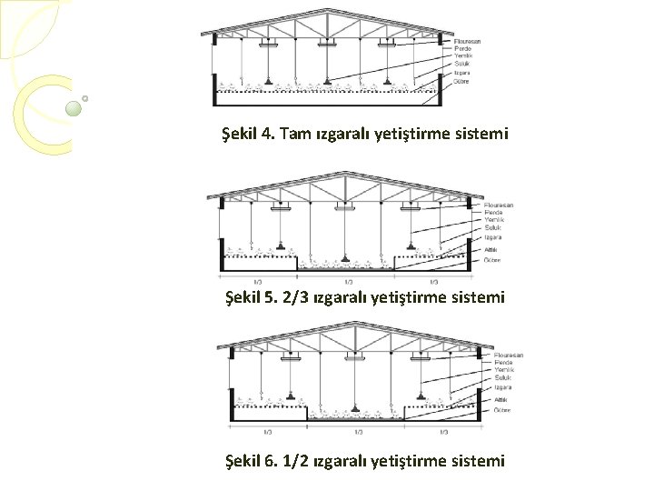 Şekil 4. Tam ızgaralı yetiştirme sistemi Şekil 5. 2/3 ızgaralı yetiştirme sistemi Şekil 6.