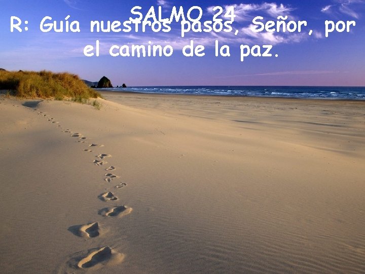 SALMO 24 R: Guía nuestros pasos, Señor, por el camino de la paz. 