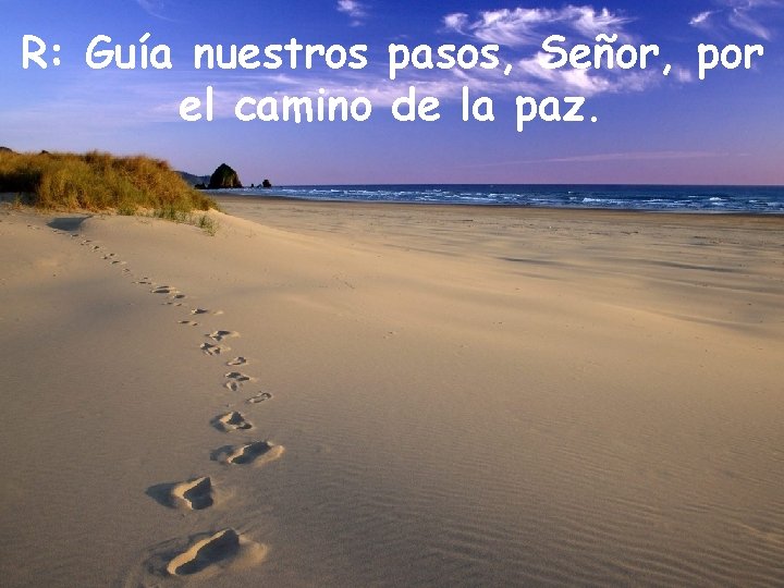 R: Guía nuestros pasos, Señor, por el camino de la paz. 