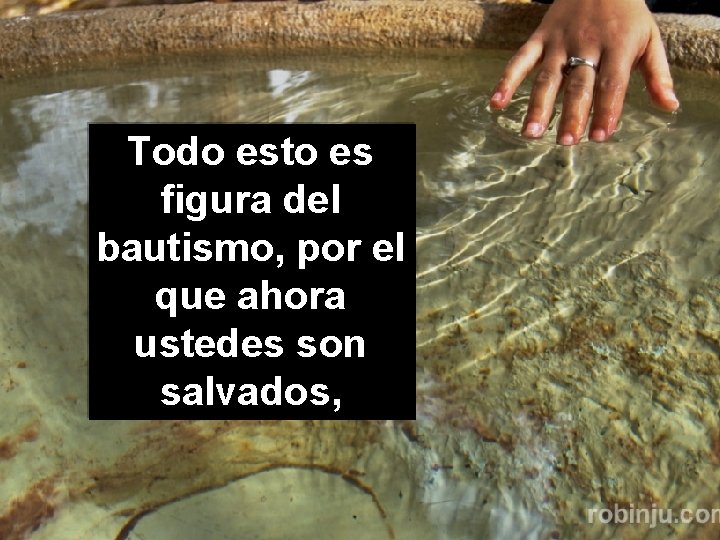 Todo esto es figura del bautismo, por el que ahora ustedes son salvados, 