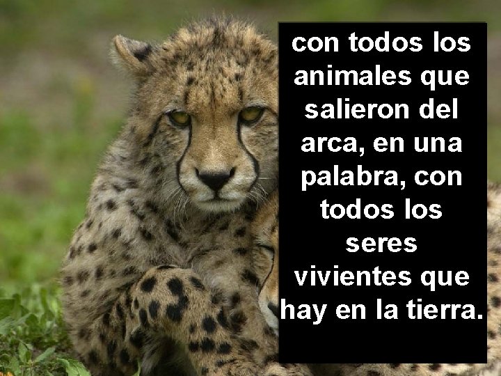 con todos los animales que salieron del arca, en una palabra, con todos los