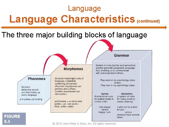 Language Characteristics (continued) The three major building blocks of language FIGURE 8. 5 ©