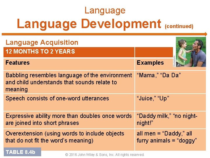 Language Development (continued) Language Acquisition 12 MONTHS TO 2 YEARS Features Examples Babbling resembles