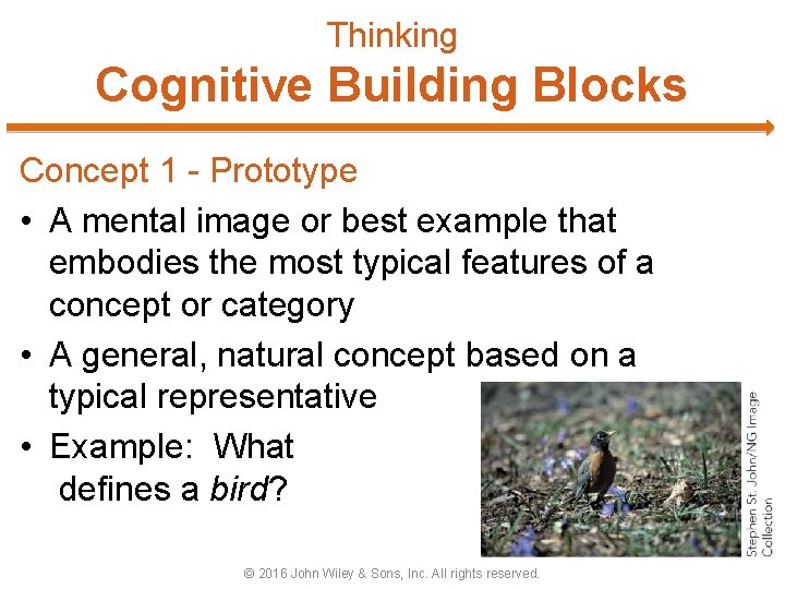 Thinking Cognitive Building Blocks Concept 1 - Prototype • A mental image or best