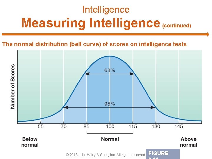 Intelligence Measuring Intelligence (continued) The normal distribution (bell curve) of scores on intelligence tests