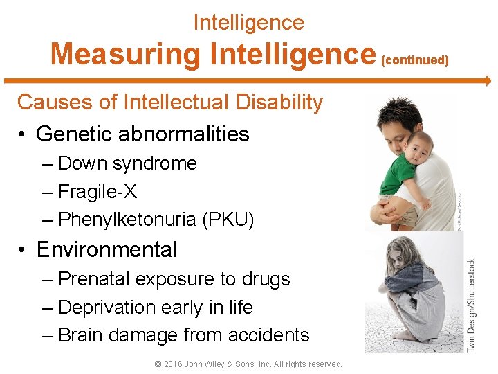 Intelligence Measuring Intelligence (continued) Causes of Intellectual Disability • Genetic abnormalities – Down syndrome