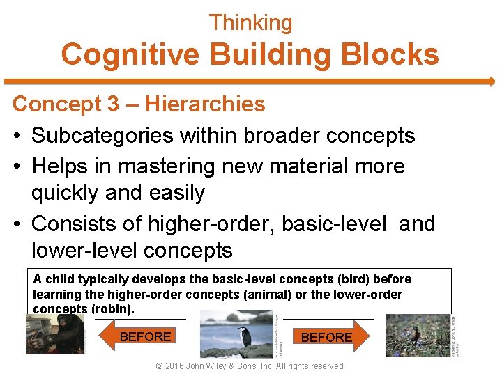 Thinking Cognitive Building Blocks Concept 3 – Hierarchies • Subcategories within broader concepts •