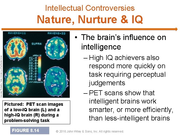 Intellectual Controversies Nature, Nurture & IQ • The brain’s influence on intelligence Pictured: PET