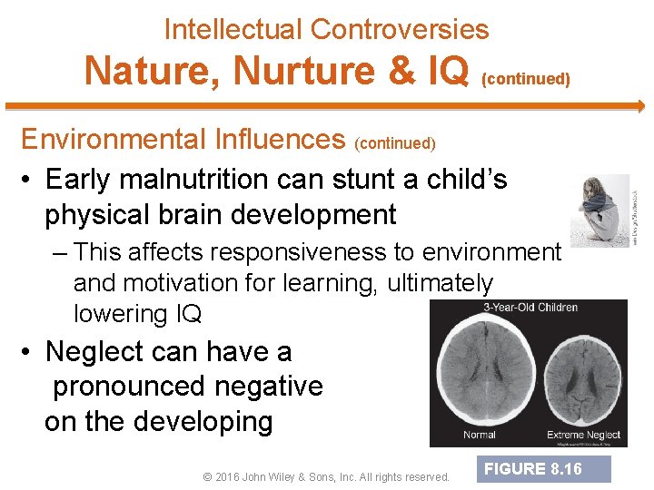 Intellectual Controversies Nature, Nurture & IQ (continued) Environmental Influences (continued) • Early malnutrition can