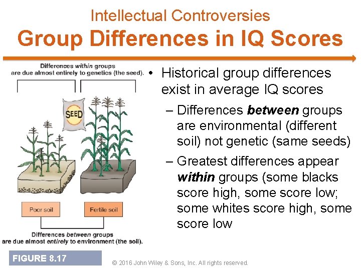 Intellectual Controversies Group Differences in IQ Scores • Historical group differences exist in average