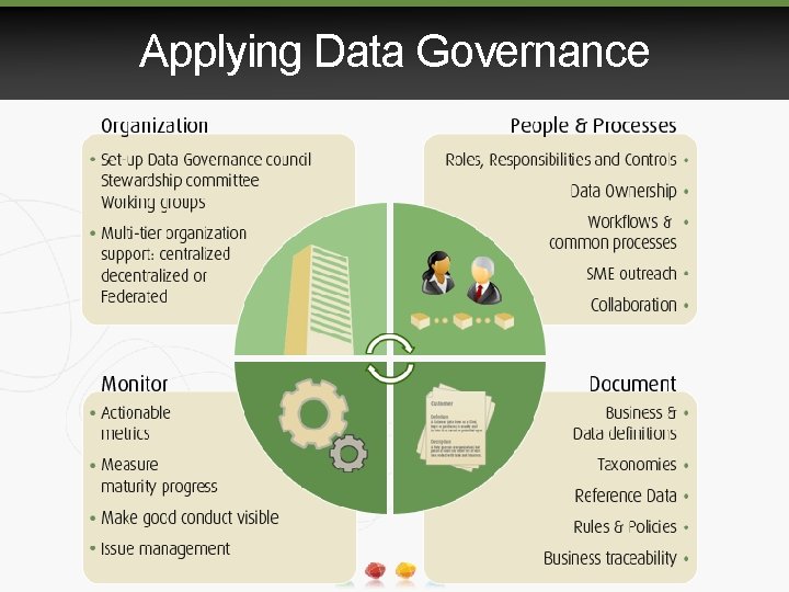 Applying Data Governance 