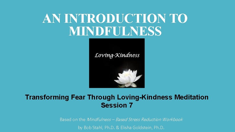 AN INTRODUCTION TO MINDFULNESS Transforming Fear Through Loving-Kindness Meditation Session 7 Based on the