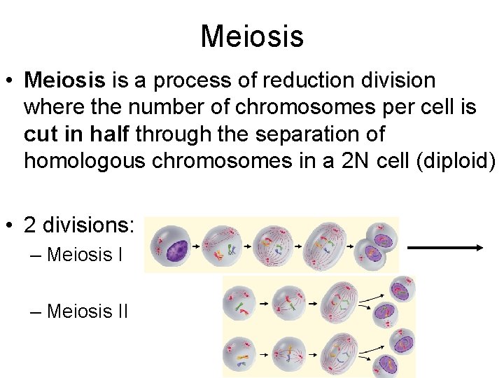 Meiosis • Meiosis is a process of reduction division where the number of chromosomes